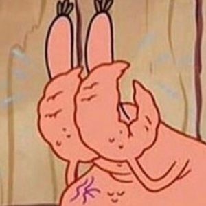 Meet your Posher, Genesis